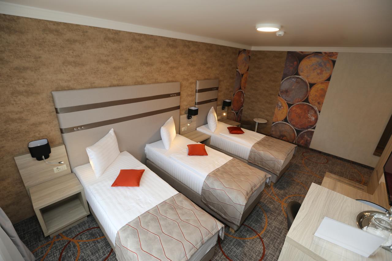 Hotel Baril Haţeg Εξωτερικό φωτογραφία