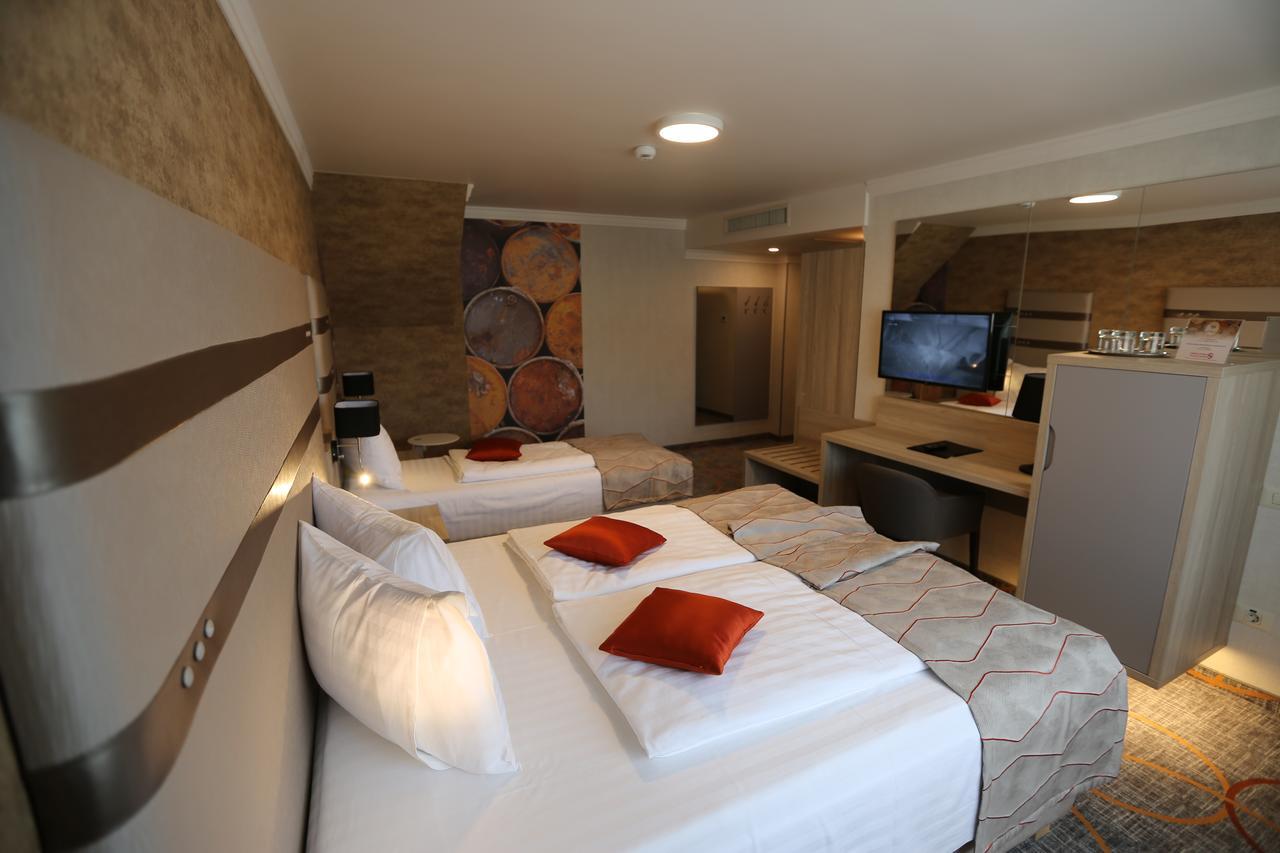 Hotel Baril Haţeg Εξωτερικό φωτογραφία